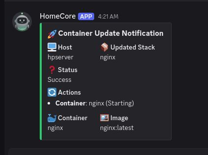 discord webhook message.png